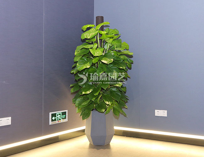 1.8��������