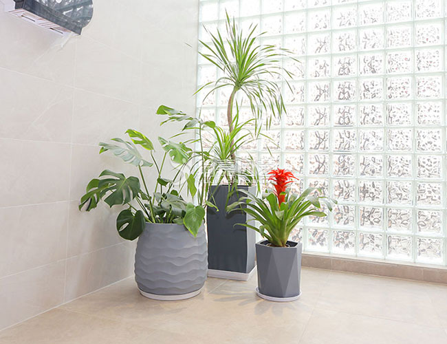 ��������Z003