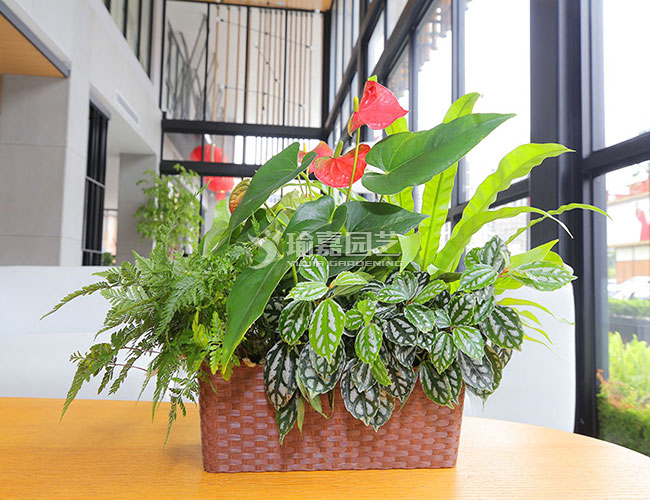 ��������Z001