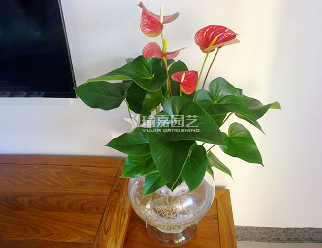 ˮ��������