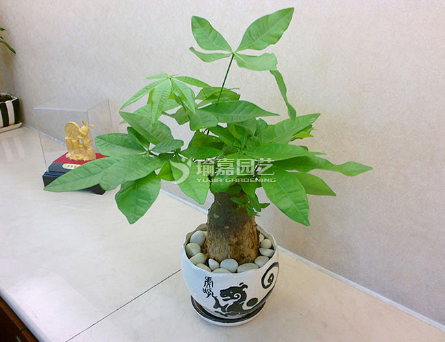 С������