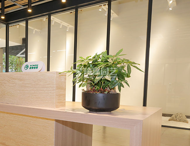 ���跢����