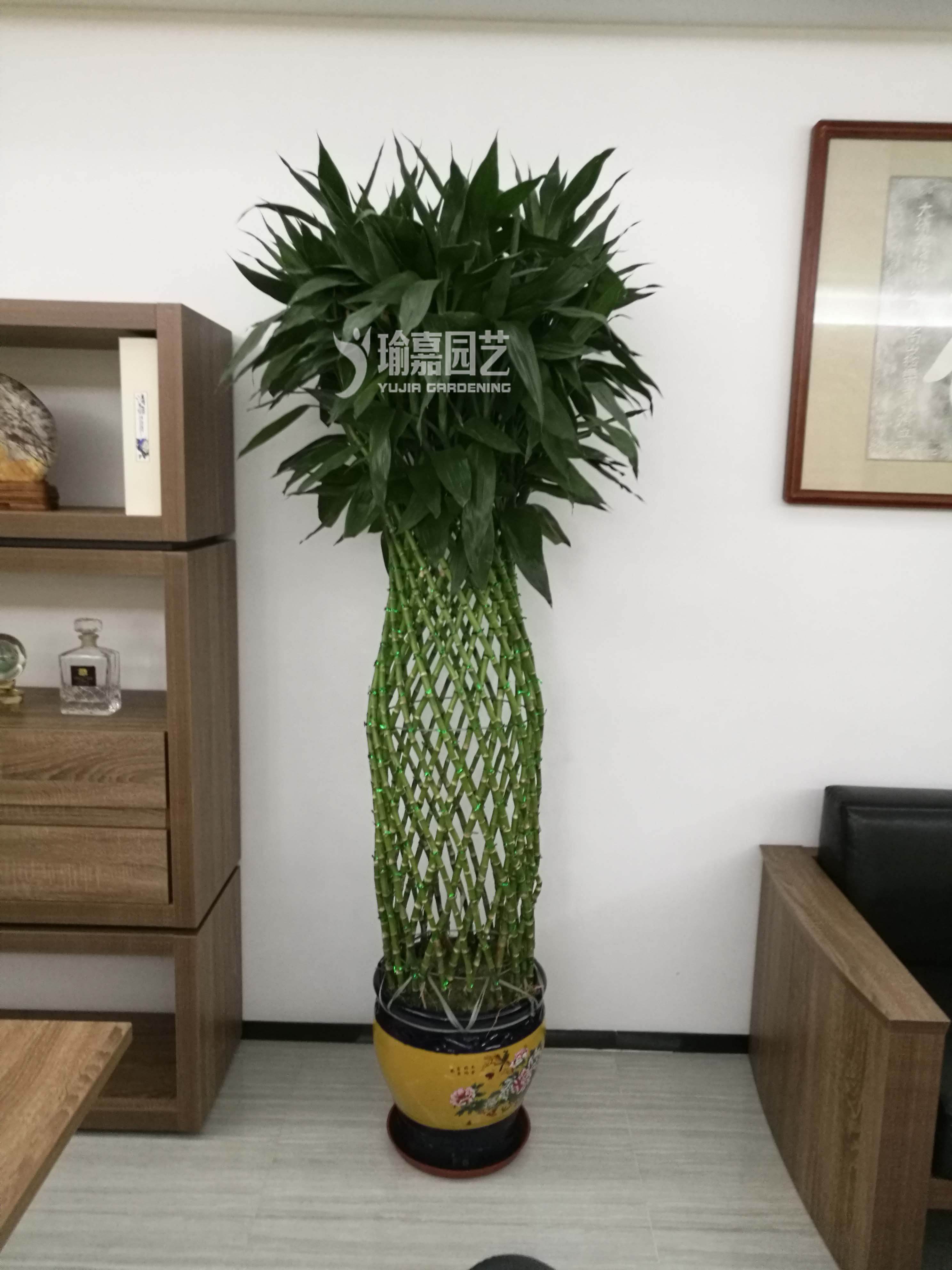 �󸻹�����