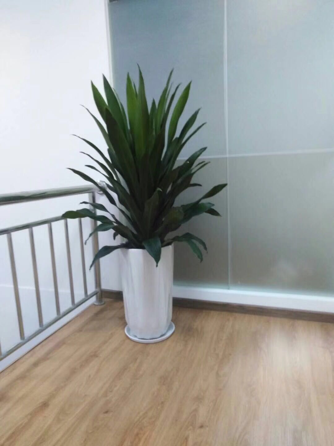 ��ͷҲ����