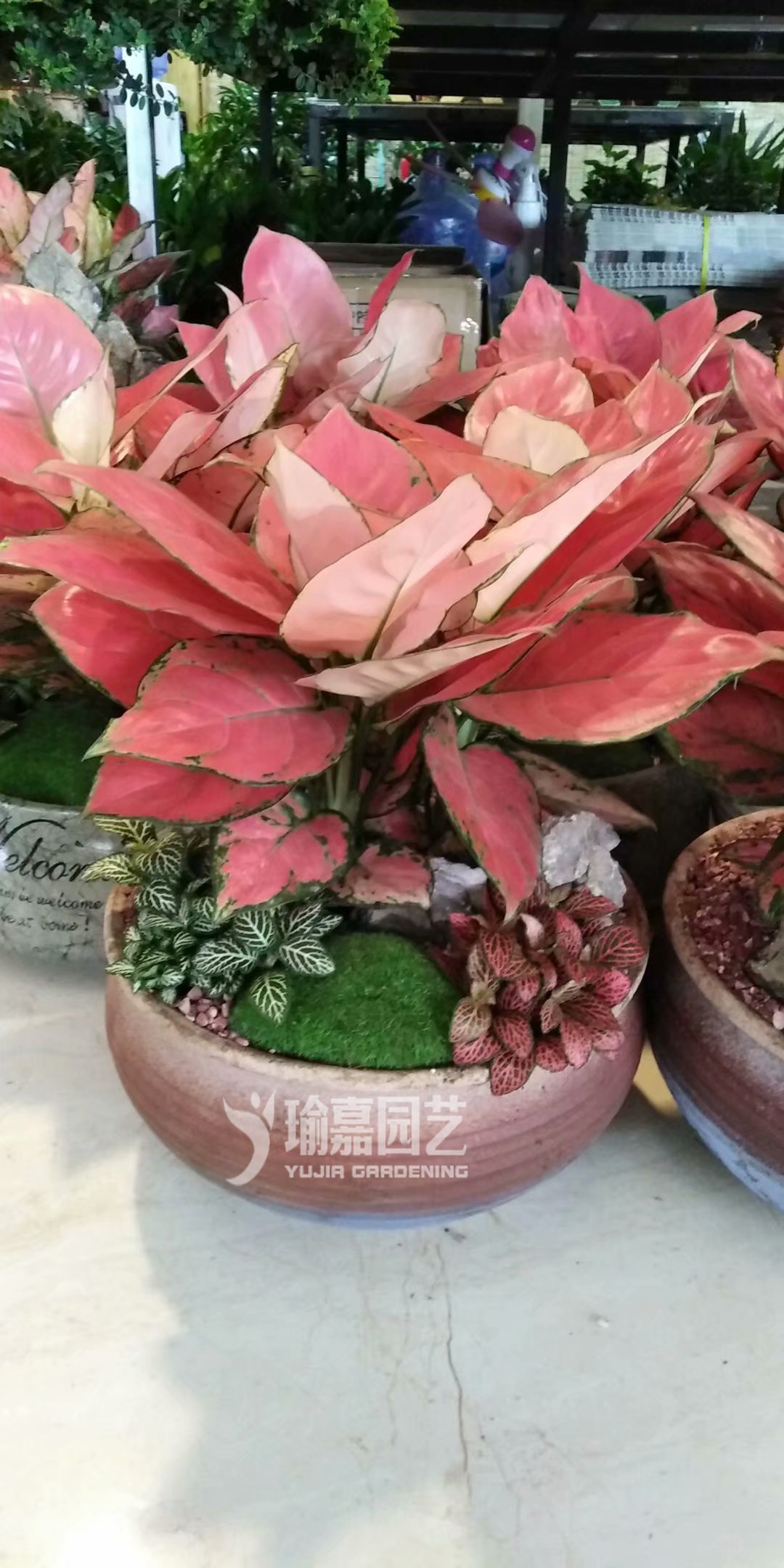 ����ʺ󣨾�Ʒ��01