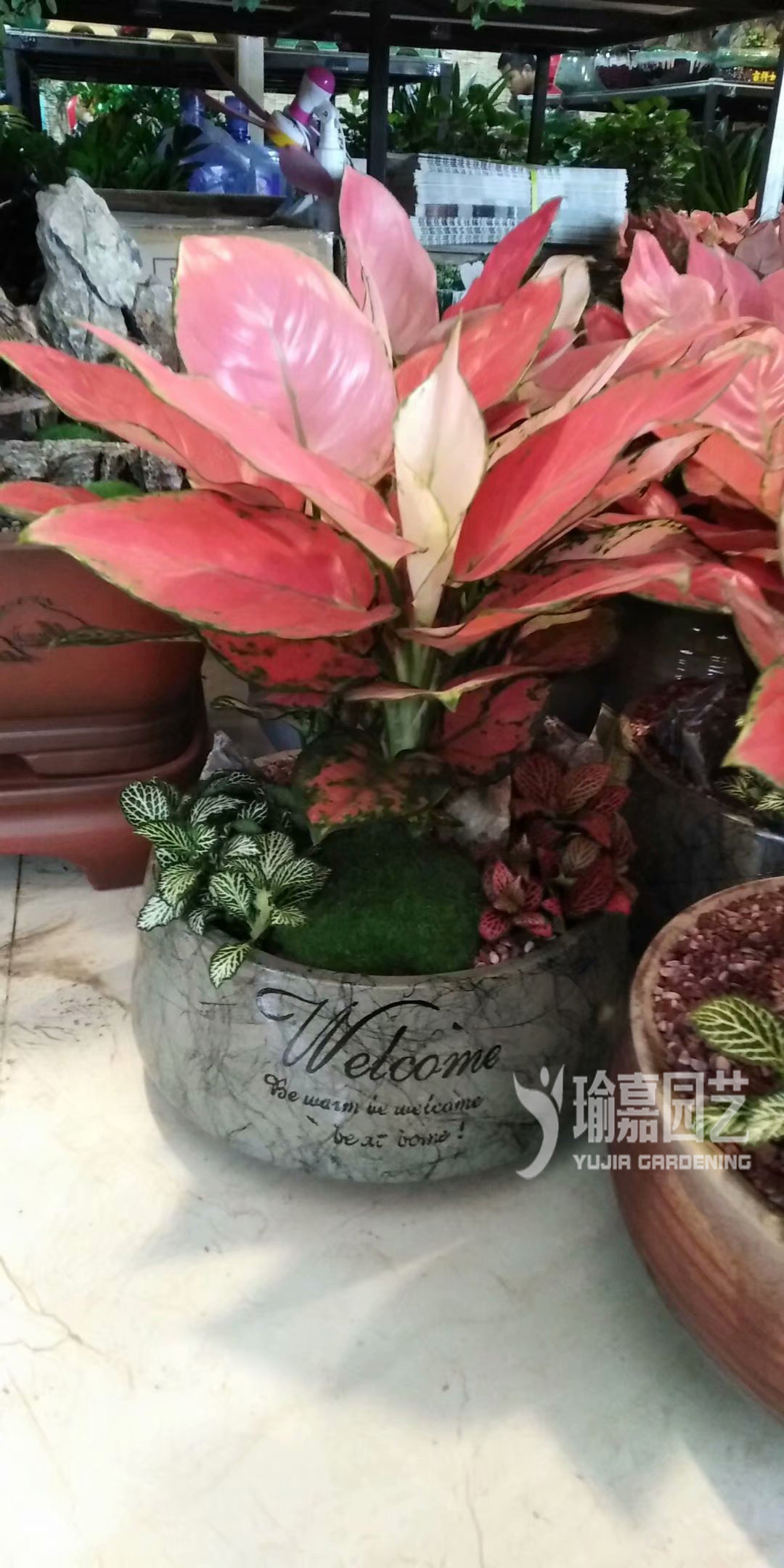 ����ʺ󣨾�Ʒ��03