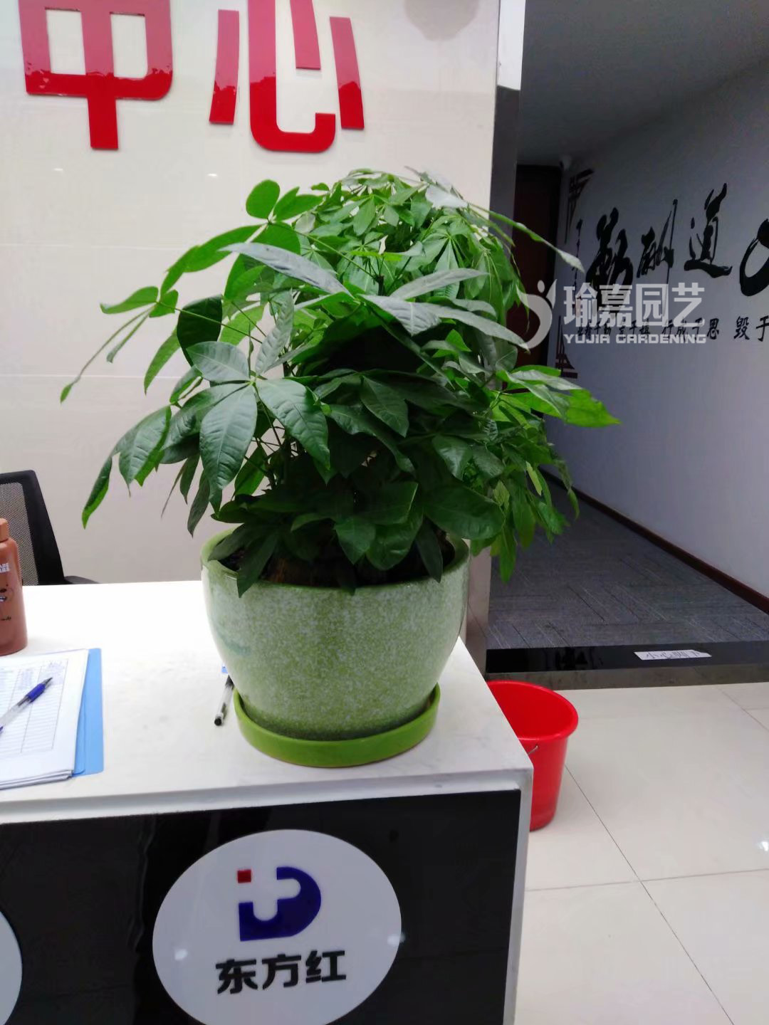 С���������