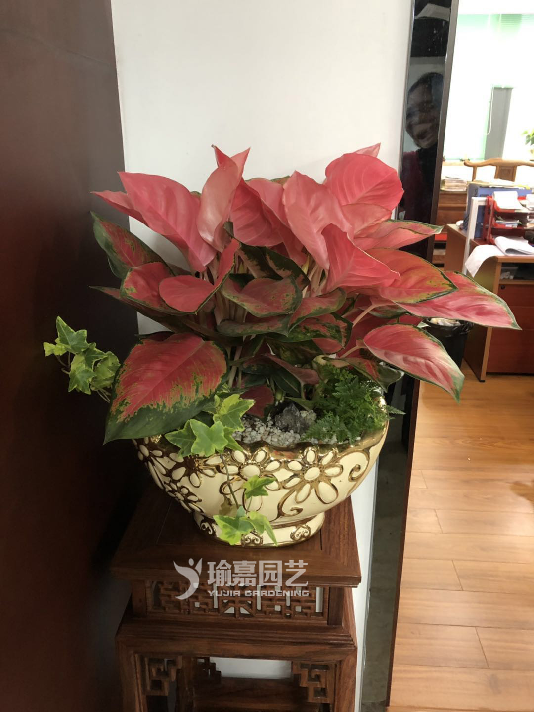 ����ʺ󣨾�Ʒ��05