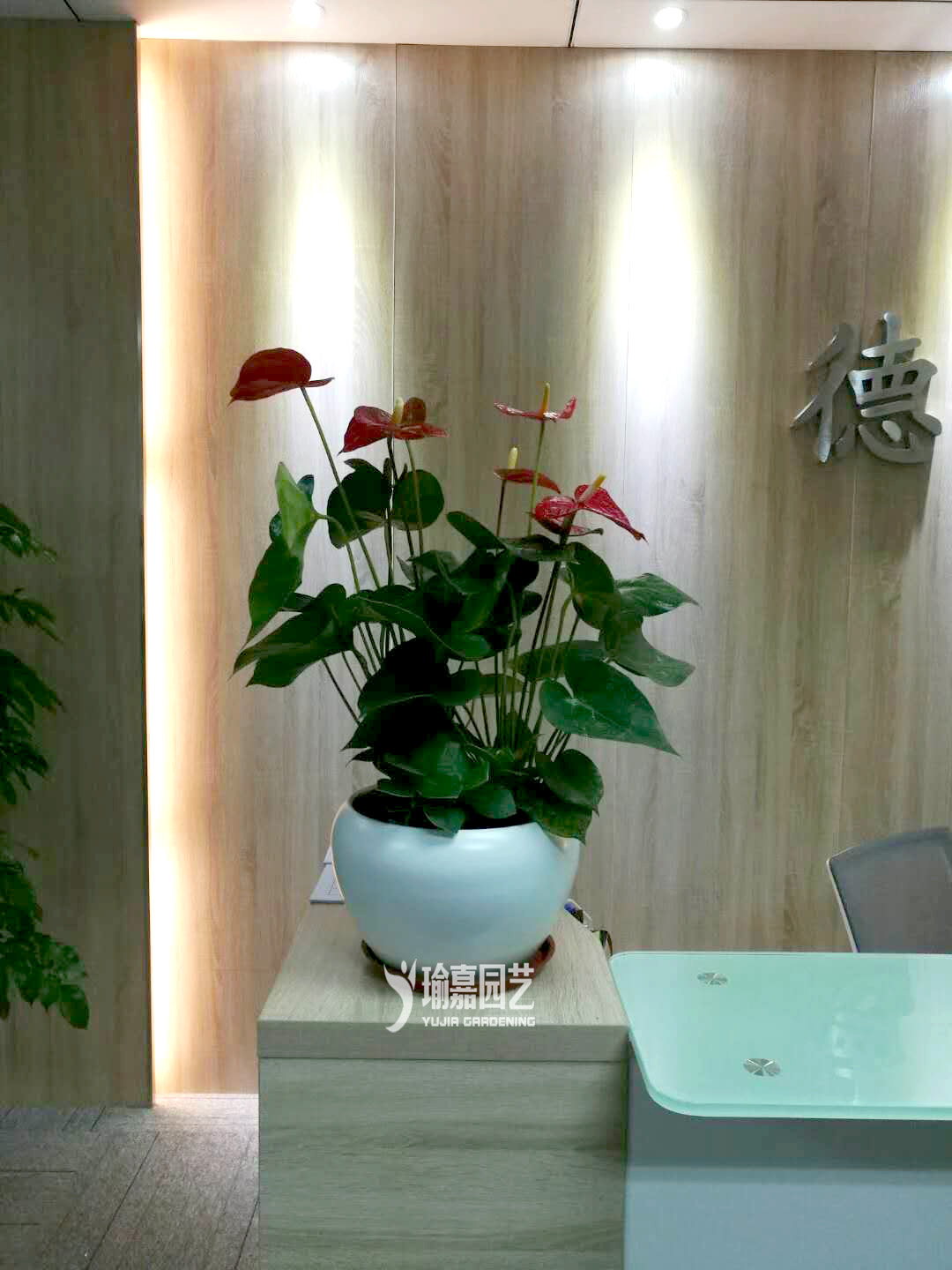 �������