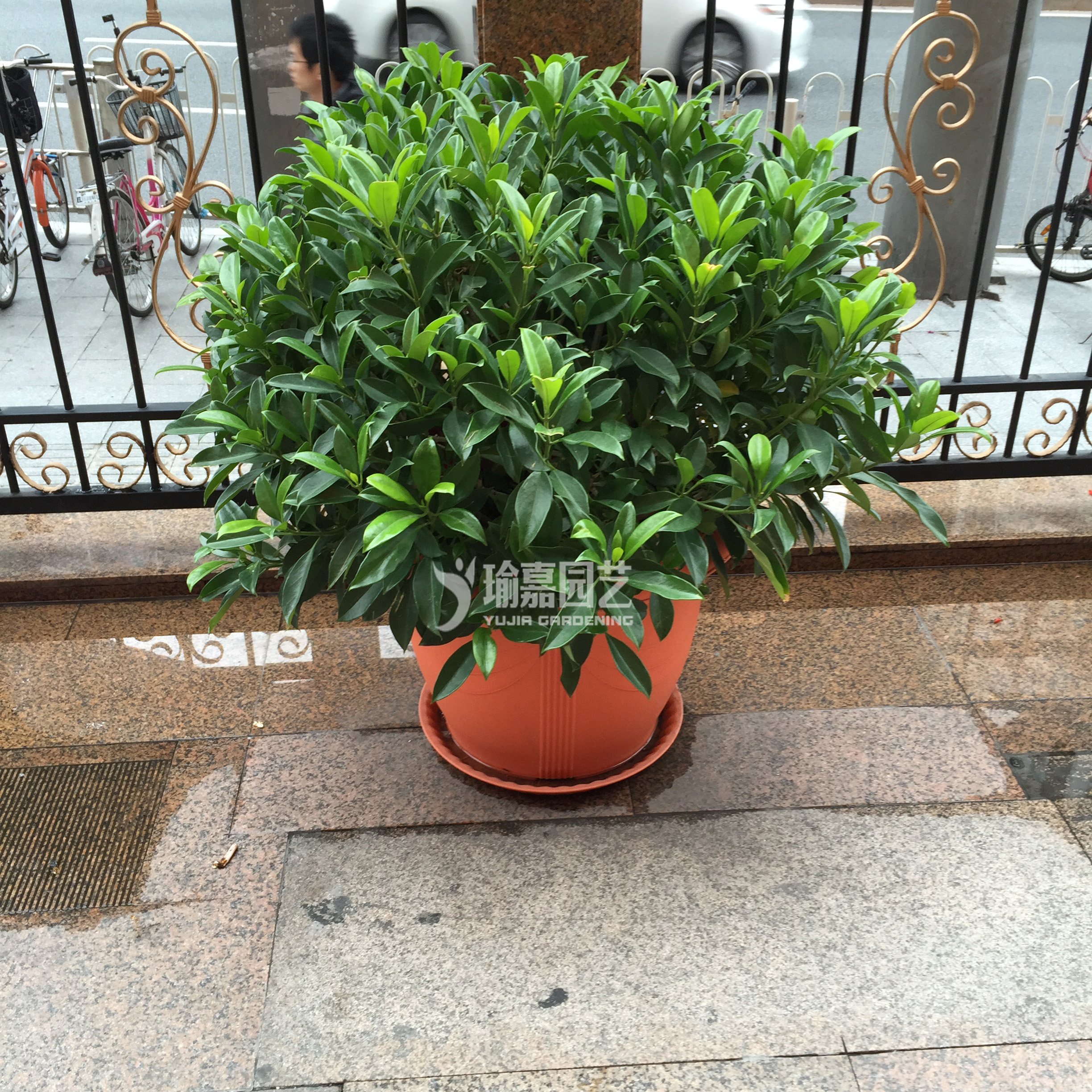 ���η�������