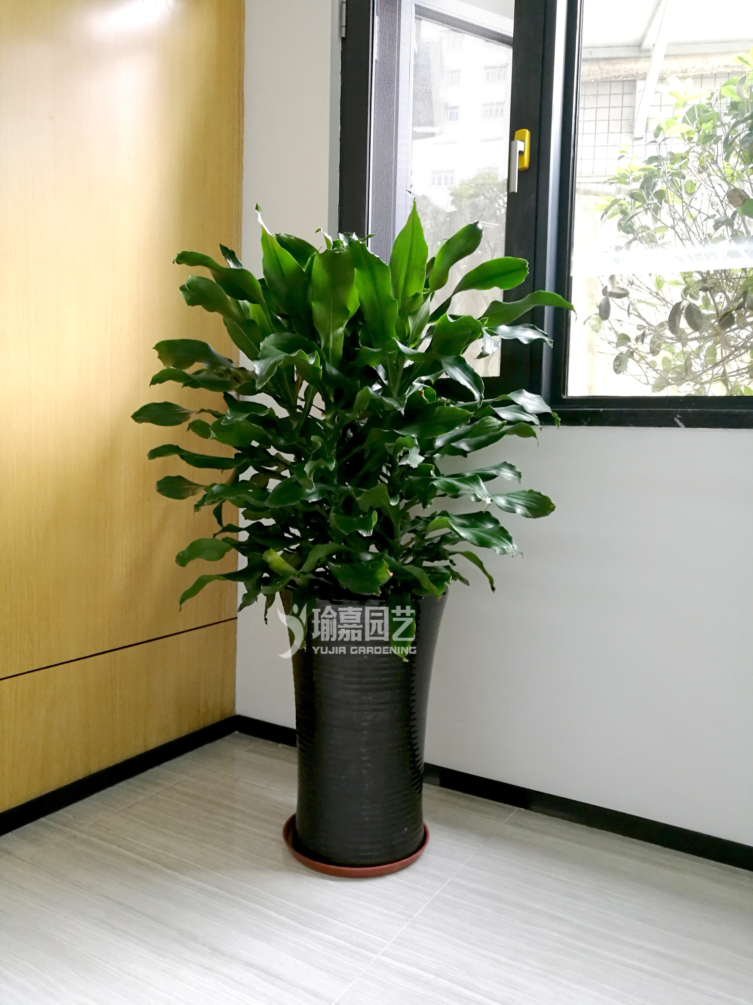 5ͷ������