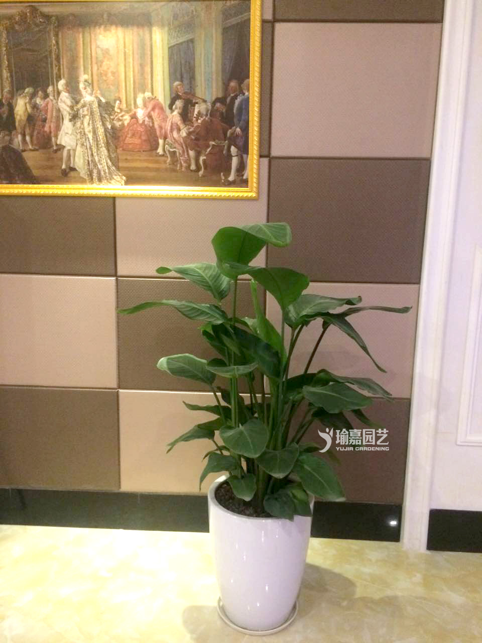 1.2��������