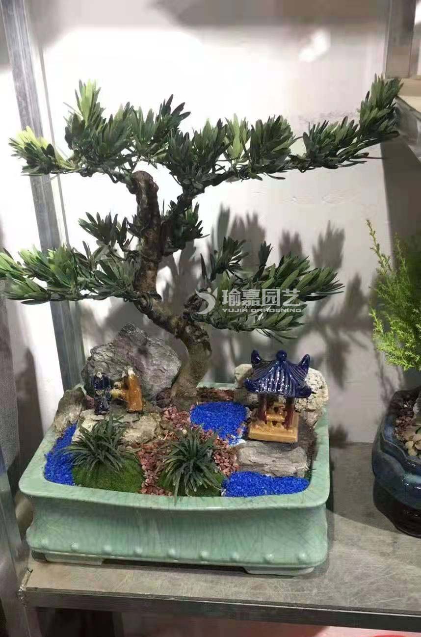 ��Ʒ�޺���