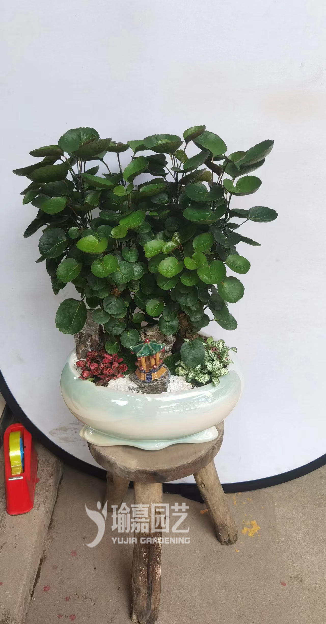 ��Ʒ��Ǯ��